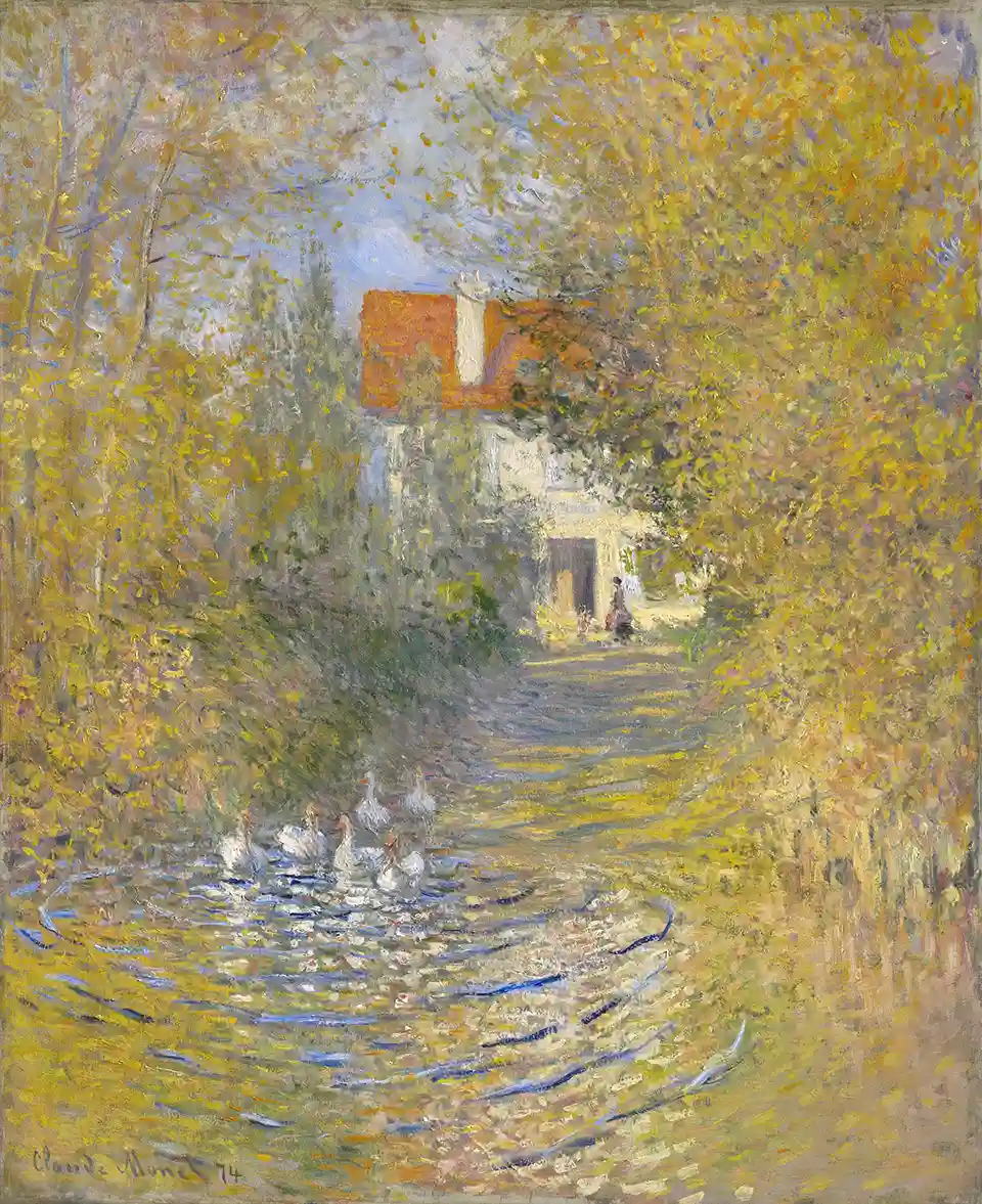 Geese in the creek